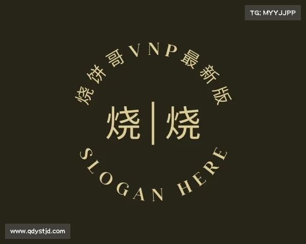 介绍烧饼哥vnp最新版